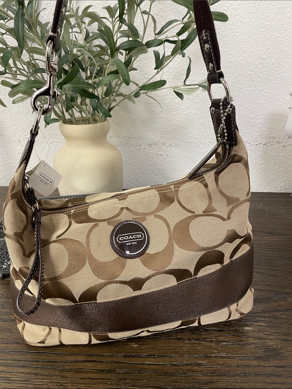 Coach Y2K hobo purse